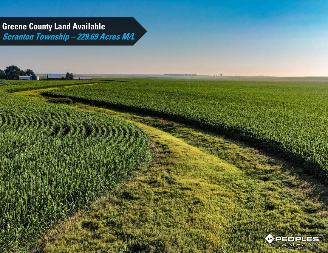 Listing Photo: Greene-County-Iowa-Land-Available-Scranton-Iowa-229-Acres-19614 (10)